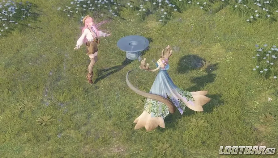 Buying a Whimstar from Stray Hatty.