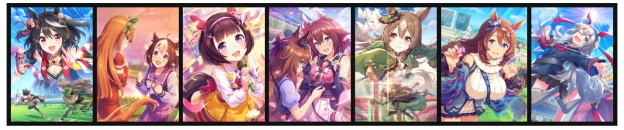 SSS support cards