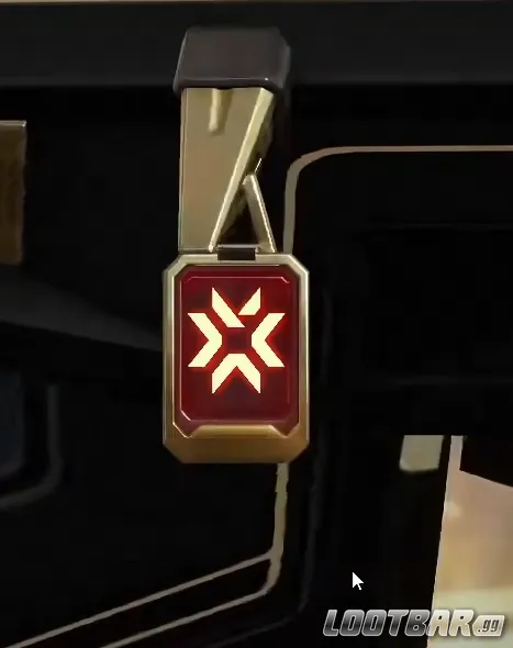 VALORANT Champions 2025 gunbuddy