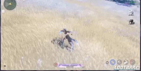 Galbrena Forte Circuit