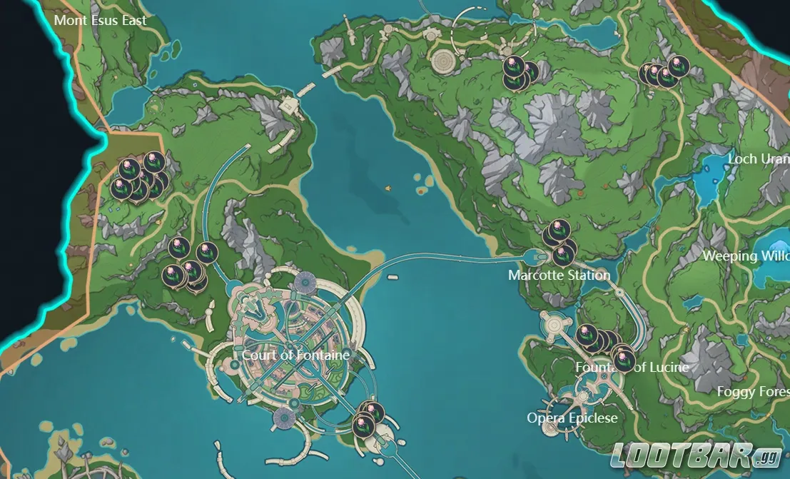 Rainbow Rose Collecting Spots 1