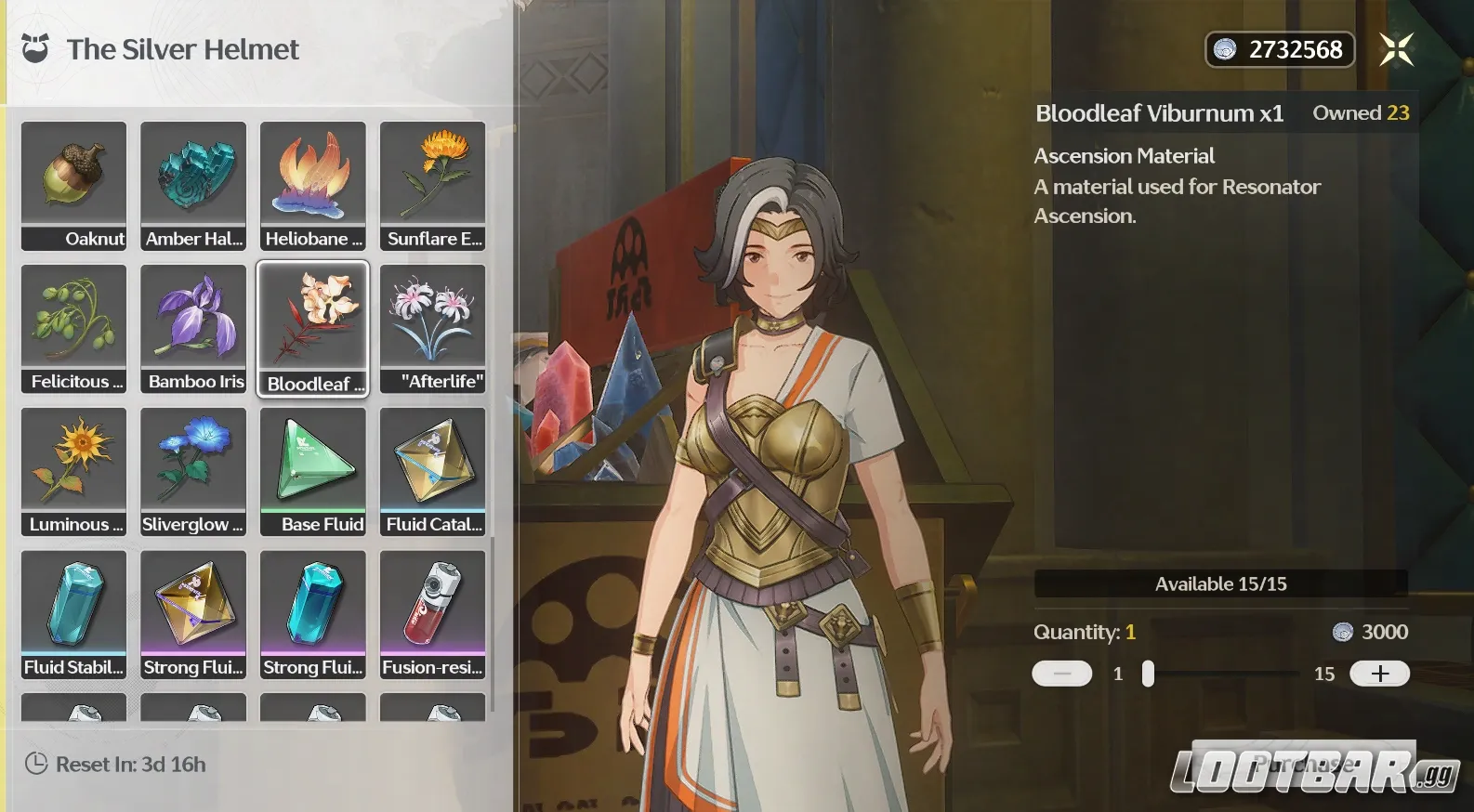 Bloodleaf Viburnum at the Silver Helmet