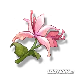 Цветок Пецок