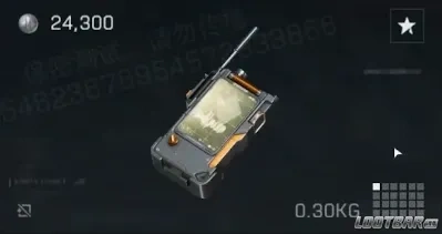 IFF Дизруптор