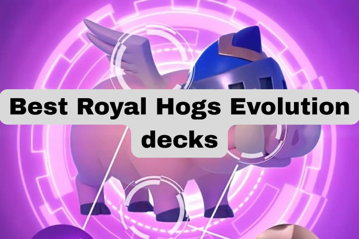 The best Royal Hogs Evolution decks in Clash Royale