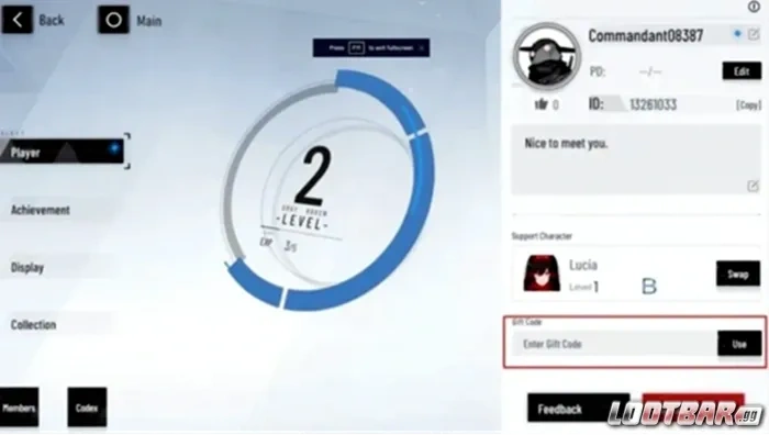 Punishing: Gray Raven