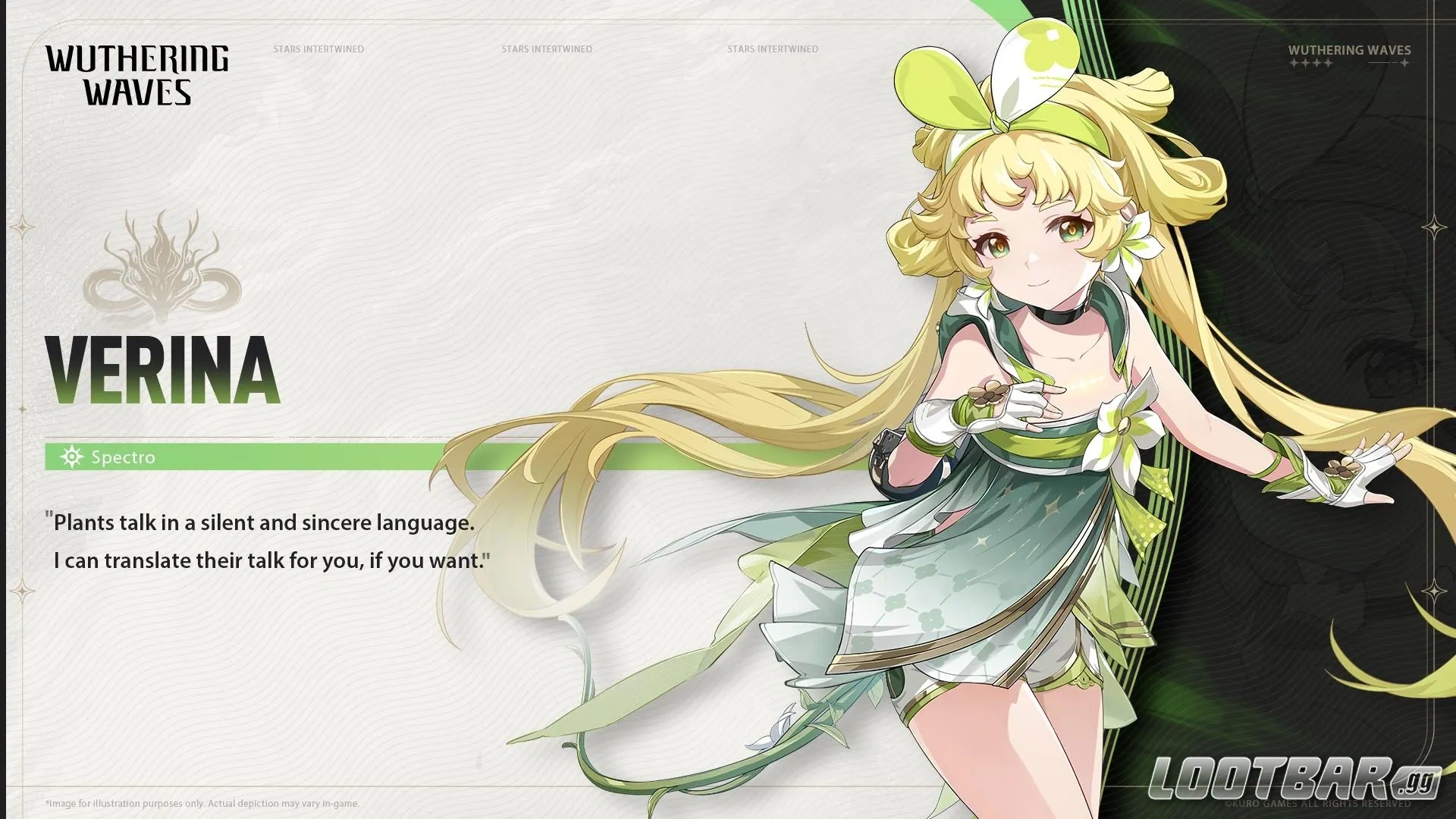 verina portrait image