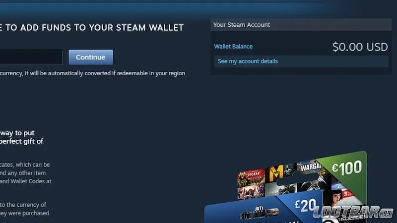 Checking Steam balance