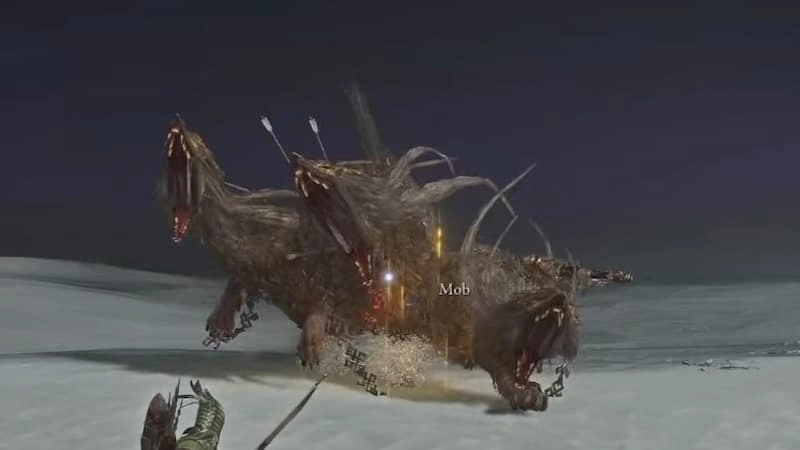 Fighting Gladius in Elden Ring Nightreign