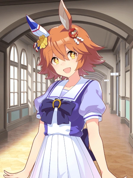 Matikanefukukitaru r