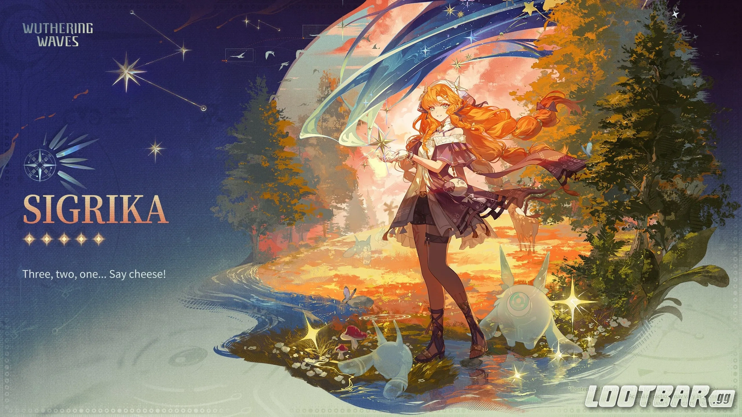 Sigrika Drip Marketing