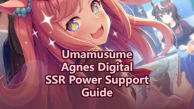 Uma Musume: Pretty Derby Agnes Digital SSR Power Support Card
