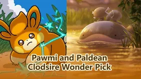 Pawmi and Paldean Clodsire Wonder Pick | Pokémon TCG Pocket