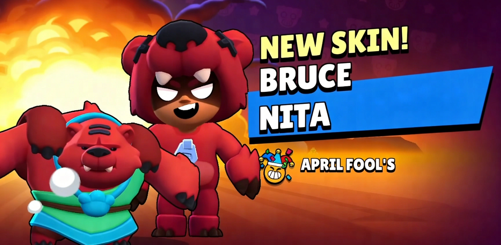 bruce nita