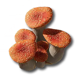 Ruby Bolete