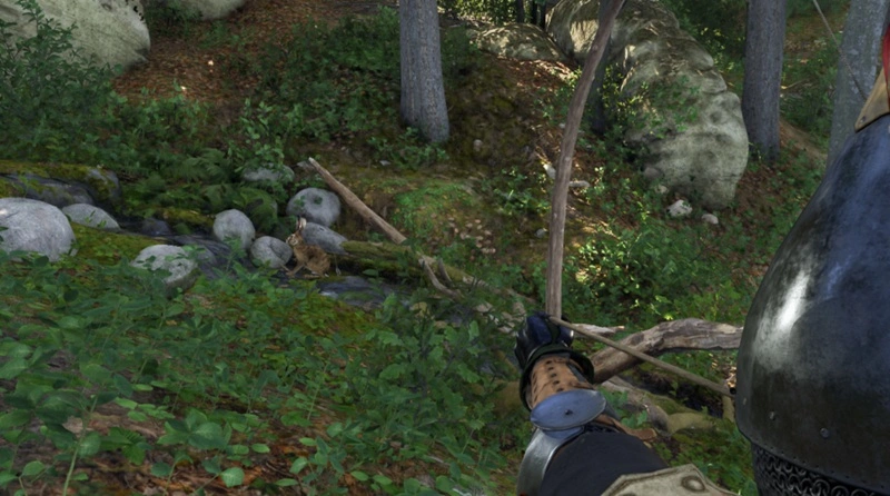 Kingdom Come: Deliverance II Hunting
