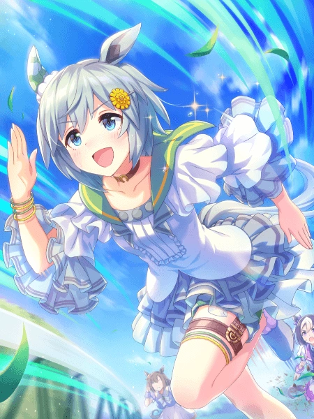 seiun sky ssr stamina