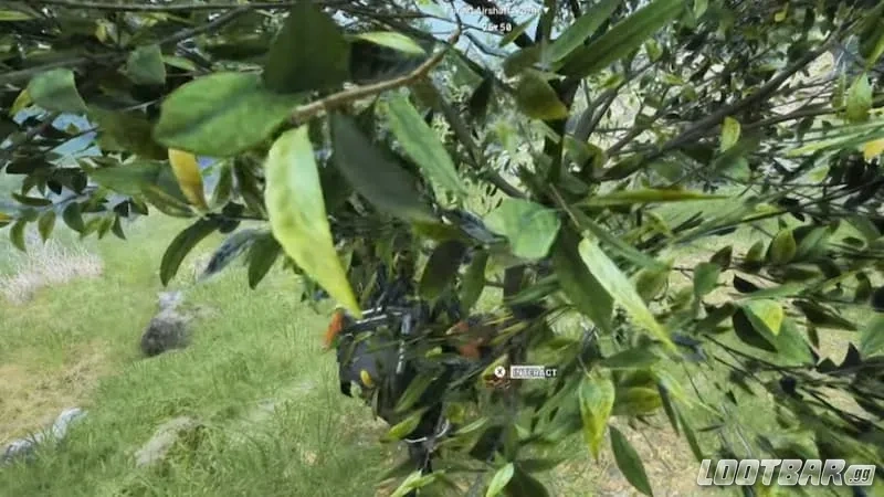 Interacting with Olive Tree in Olive Grove in Arc Raiders.