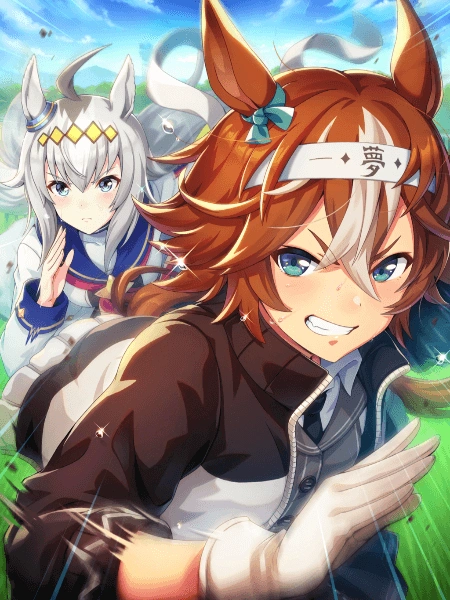 bamboo memory ssr card