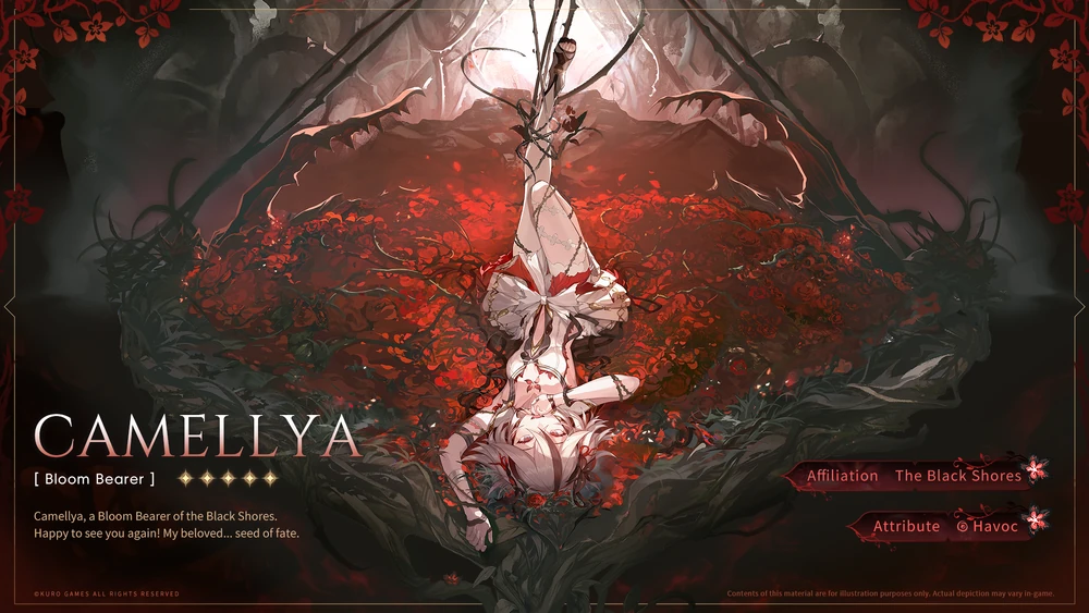 camellya promotional art