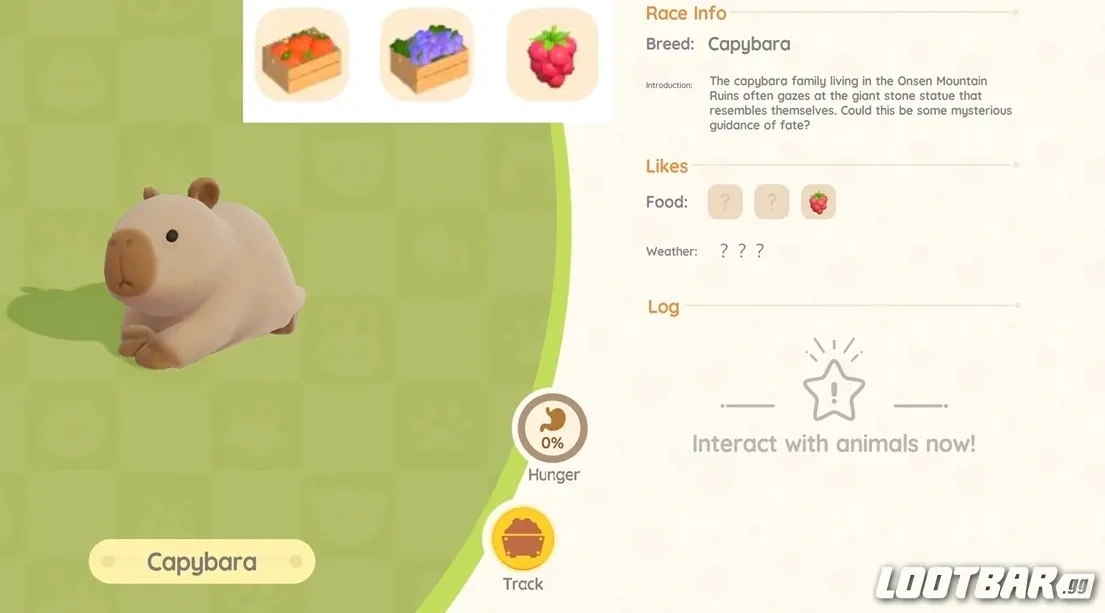 Capybara Favorite Food in Heartopia 