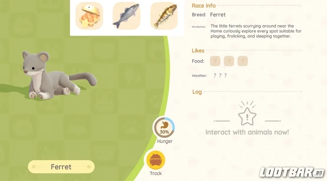 Ferret Favorite Food in Heartopia 