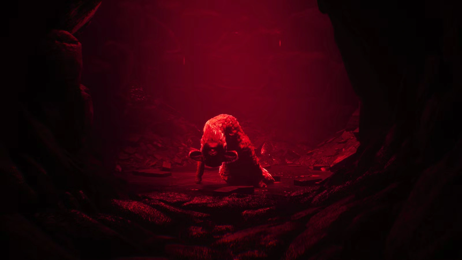 reanimal-interview-0