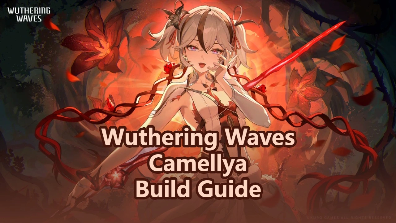 Wuthering Waves Camellya Build Guide: Weapons, Echoes & Teams