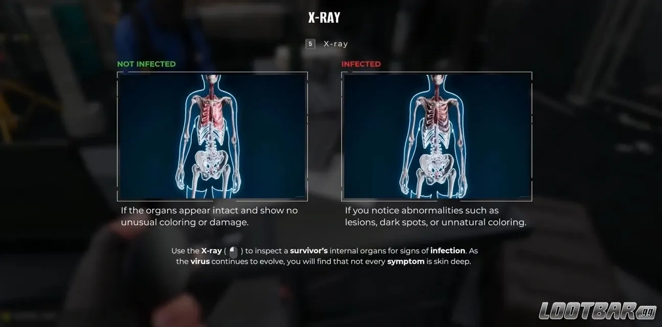 quarantine zone the last check x-ray scanner