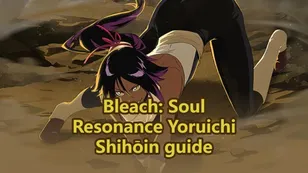 Yoruichi Build Guide: Skills, Stamps and Team Synergy | Bleach: Soul Resonance