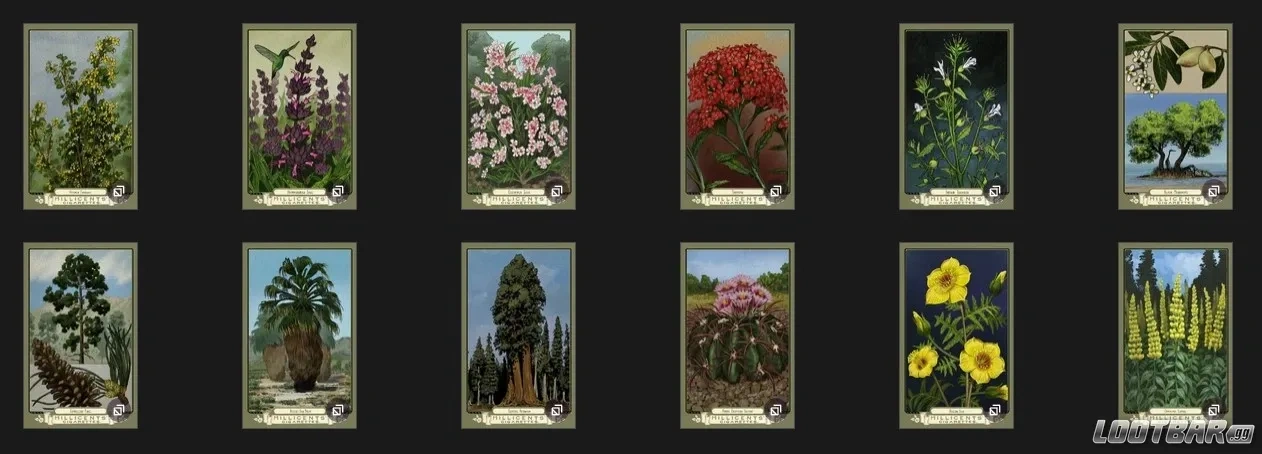 Flora of America Cigarette Card Set RDR2