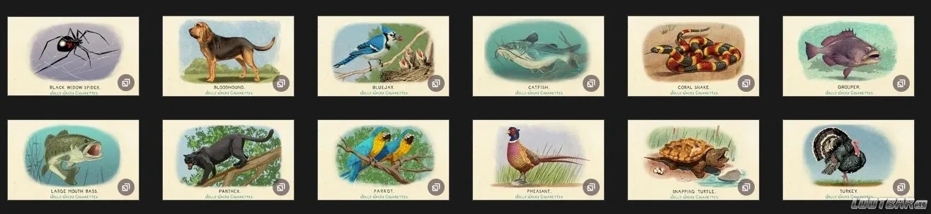 Fauna of America Cigarette Card Set RDR2