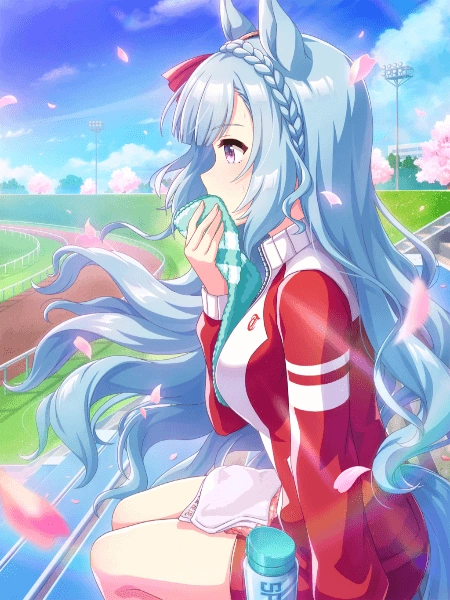 mejiro ardan sr card