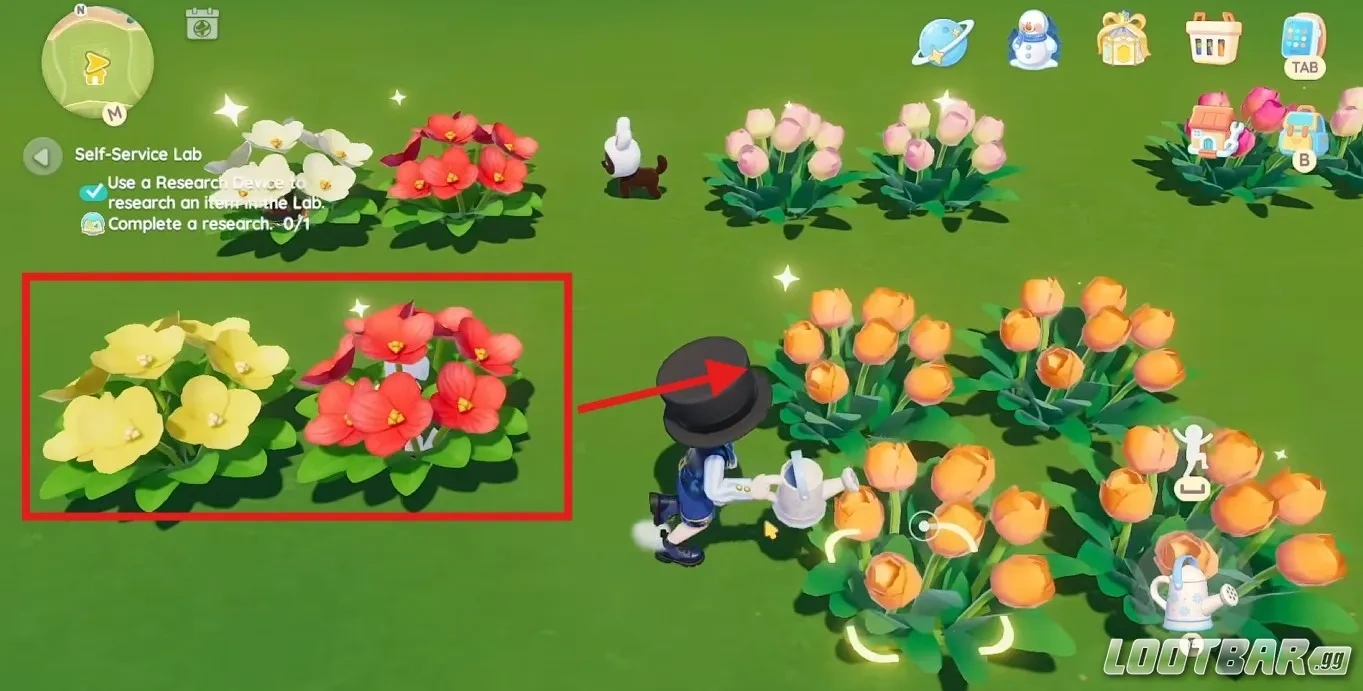 Crossbreeding heartopia example red+yellow=orange