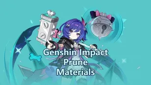 Prune Ascension, Weapon & Talent Materials | Genshin Impact