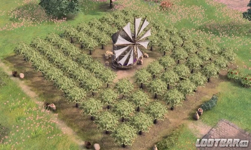 Age of Empires IV Byzantine - Olive Groves 