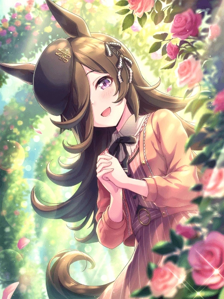 Rice Shower (SSR) Support Card