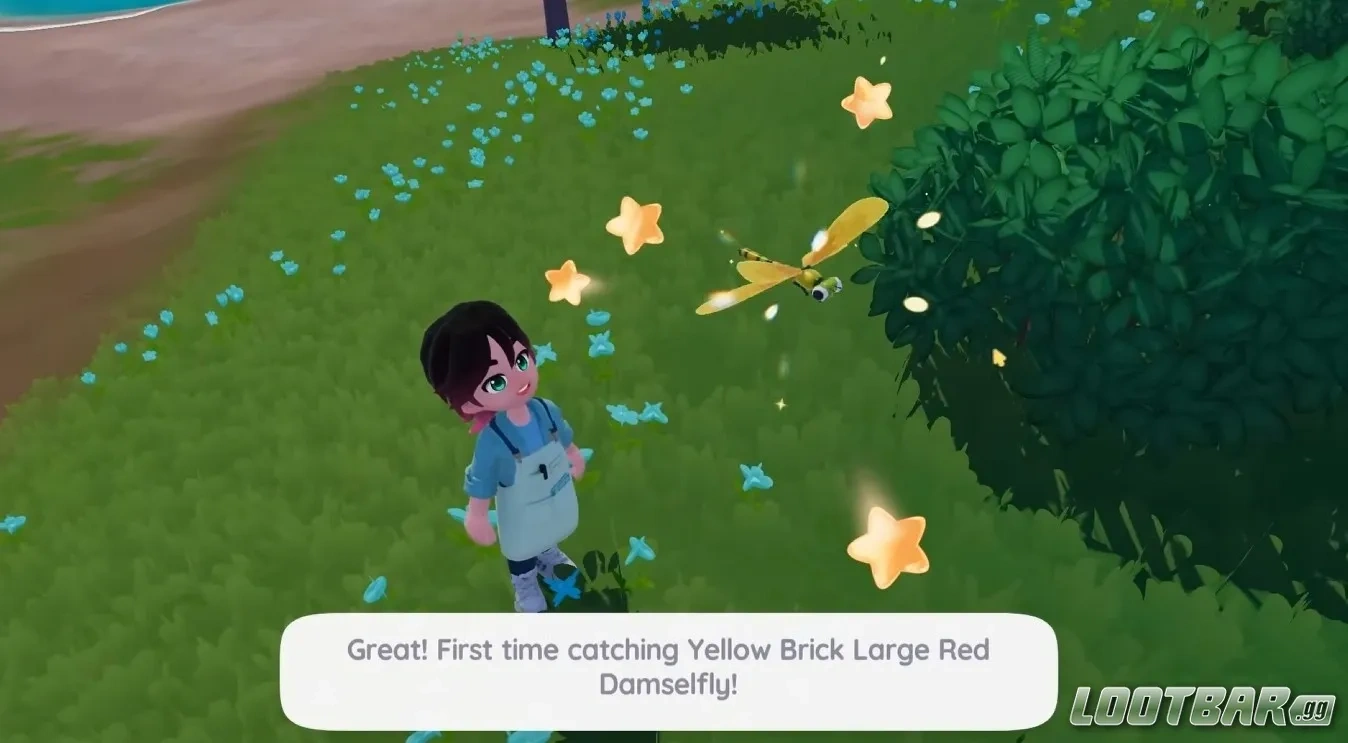 catching any Brick Damselfly