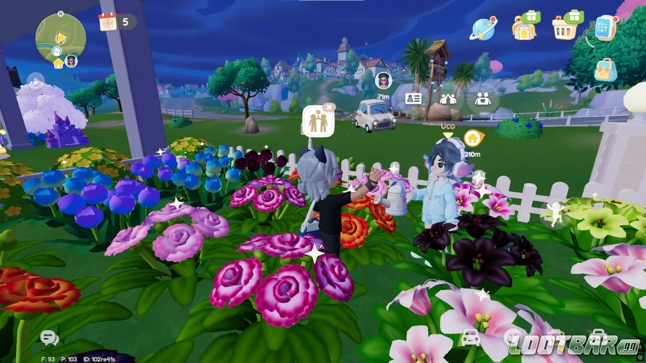 Player to Player in Heartopia