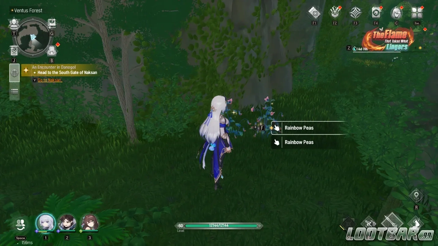 Gathering Materials