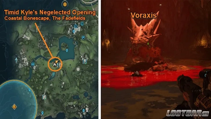 Voraxis