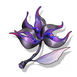 Dream of Stars
