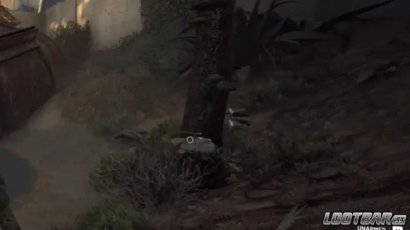 Spaceport mushrooms spawn