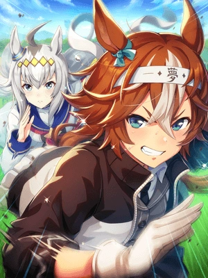 Bamboo Memory (SSR) Power Support Card