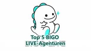 Top 5 BIGO LIVE-Agenturen: Die besten Partner für Streamer