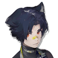 Windflit icon
