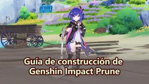 Guía de equipamiento de Genshin Impact Prune