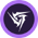 Void Thunder icon