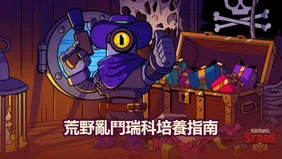 荒野亂鬥彈射最佳配置指南：能力之星、武裝配件、裝備