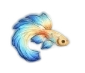Ikon Flowborne Dream